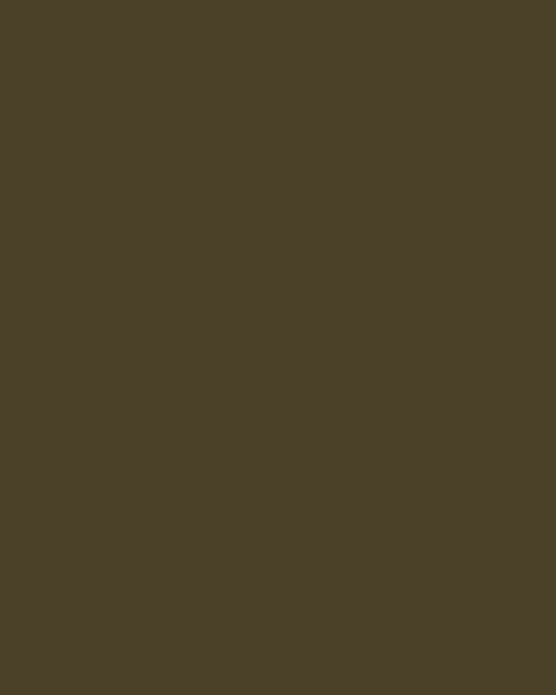 Biarritz olive green wall paint colour by WOW Makers