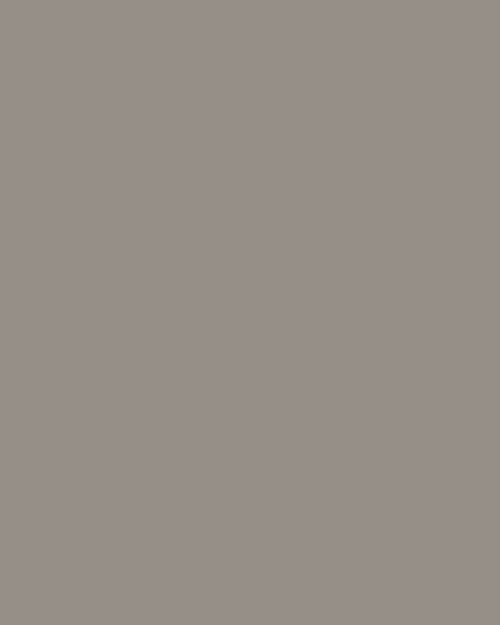 Colour card of Florence warm taupe paint colour by WOW Makers in collaboration with Dstrezzed